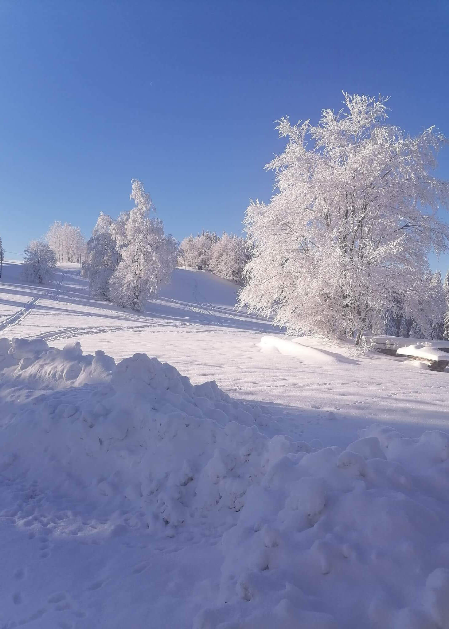 zima-w-gorach-6